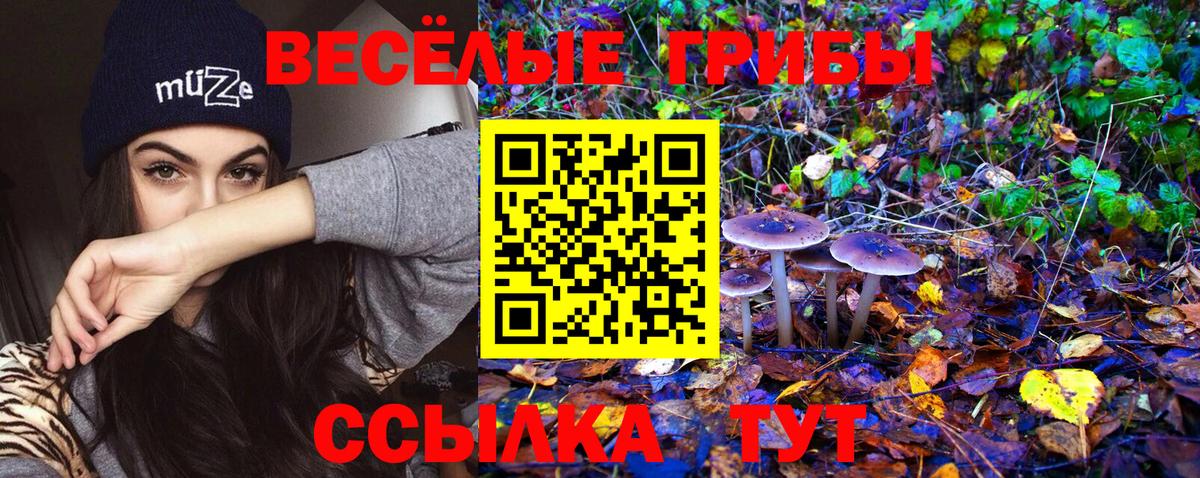 Сатка  Псилоцибиновые грибы Cubensis  Вход с VPN 